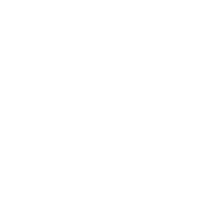 ANDREA-DAMKAR-DIRECTOR-AWARD-BFF_Logo_NewYork