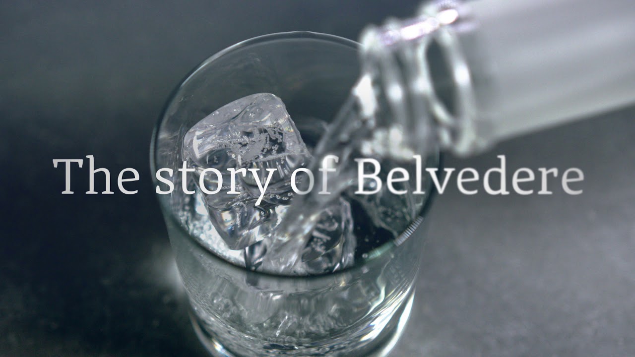 BELVEDERE VODKA BEAUTIFUL TO SEE ANDREA DAMKAR